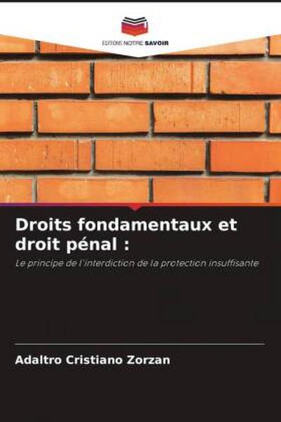 Droits fondamentaux et droit pénal :