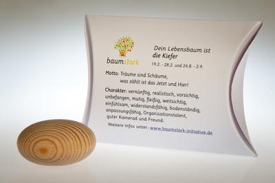 Baumstark Kiefer Handschmeichler45mm mit Baumhoroskop (19.2. - 28.2. und 24.8. - 2.9.) Handschmeichler, Holz, 8 x 11.5 x 2.8 cm