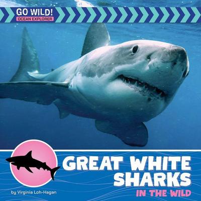 Great White Sharks in the Wild
