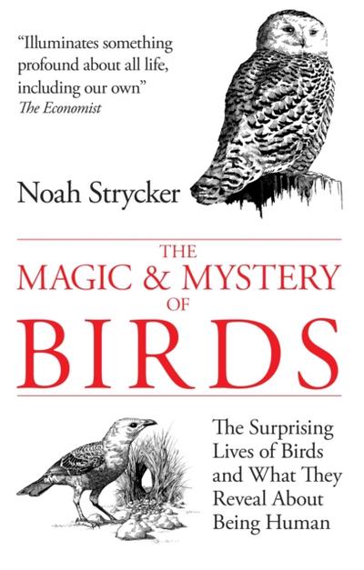 The Magic & Mystery of Birds