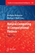 Natural Computing in Computational Finance - Anthony Brabazon