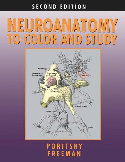 Neuroanatomy to Color and Study