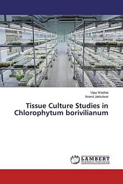 Tissue Culture Studies in Chlorophytum borivilianum