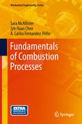 Fundamentals of Combustion Processes