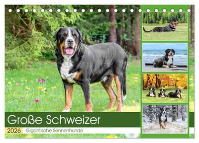 Große Schweizer - Gigantische Sennenhunde (Tischkalender 2026 DIN A5 quer), CALVENDO Monatskalender