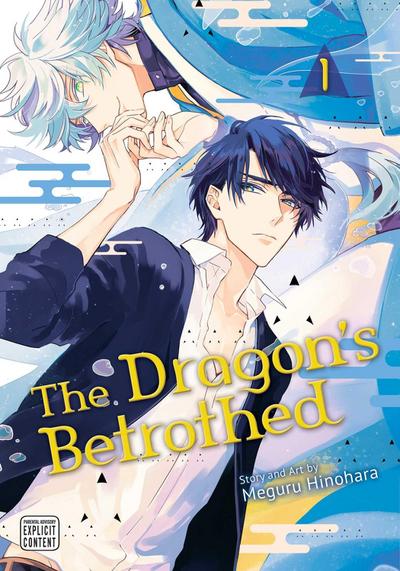 Dragon’s Betrothed, Vol. 1