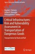 Critical Infrastructures: Risk and Vulnerability A