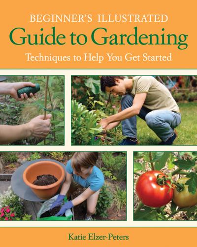 Beginner’s Illustrated Guide to Gardening
