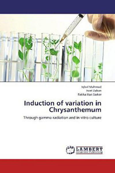 Induction of variation in Chrysanthemum