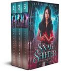 The Book of Brooklyn Boxset: A Paranormal Witch Romance (The Book of Brooklyn Witch Series, #4)