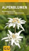 Alpenblumen: Die wichtigsten Arten entdecken und bestimmen