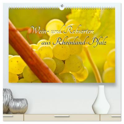 Wein- und Rebsorten aus Rheinland-Pfalz (hochwertiger Premium Wandkalender 2025 DIN A2 quer), Kunstdruck in Hochglanz