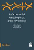 Reflexiones del derecho penal, público y privado