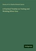 A Practical Treatise on Testing and Working Silver Ores