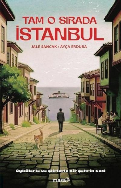Tam O Sirada Istanbul