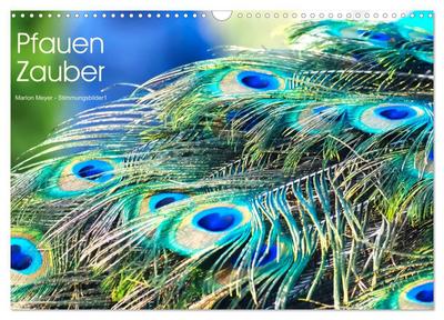 Pfauen Zauber (Wandkalender 2026 DIN A3 quer), CALVENDO Monatskalender