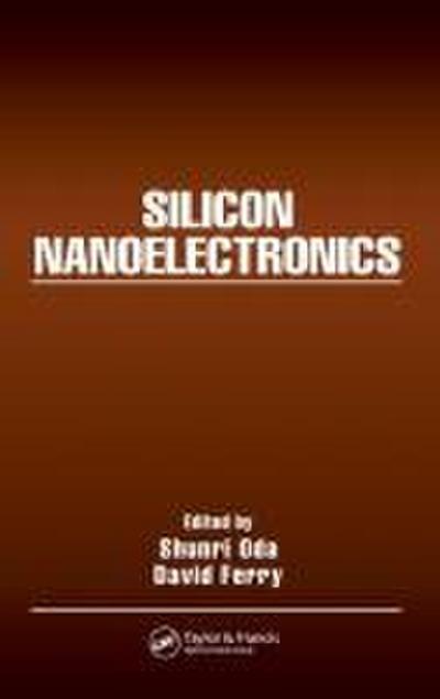 Silicon Nanoelectronics