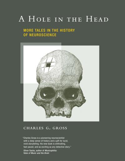 A Hole in the Head