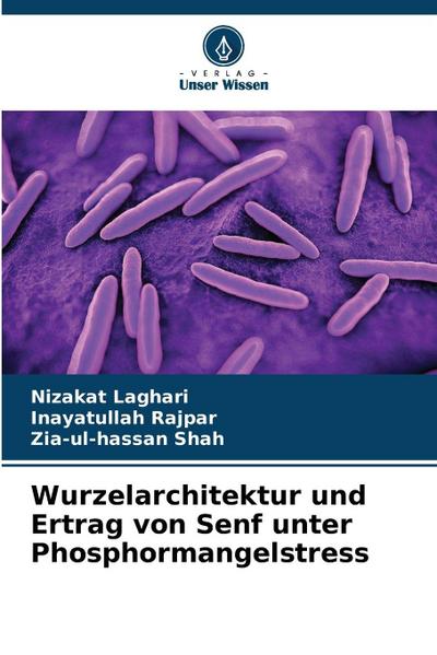 Wurzelarchitektur und Ertrag von Senf unter Phosphormangelstress