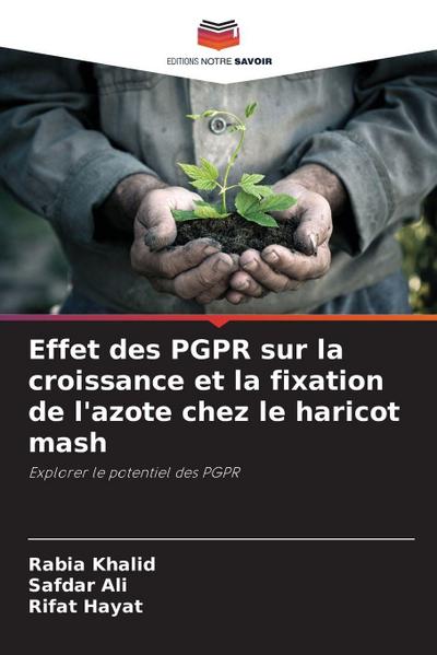 Effet des PGPR sur la croissance et la fixation de l’azote chez le haricot mash