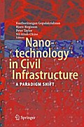 Nanotechnology in Civil Infrastructure