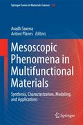 Mesoscopic Phenomena in Multifunctional Materials