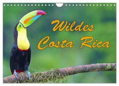 Wildes Costa Rica (Wandkalender 2026 DIN A4 quer), CALVENDO Monatskalender