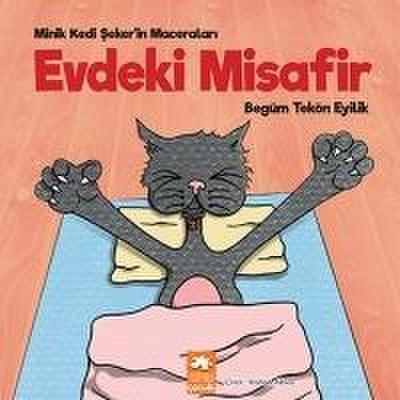 Evdeki Misafir