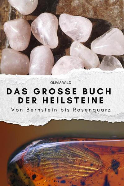 Das große Buch der Heilsteine