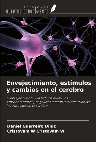 Envejecimiento, estímulos y cambios en el cerebro