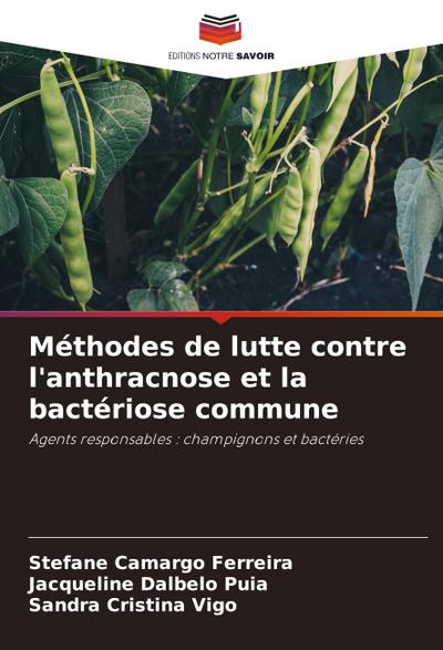 Méthodes de lutte contre l’anthracnose et la bactériose commune