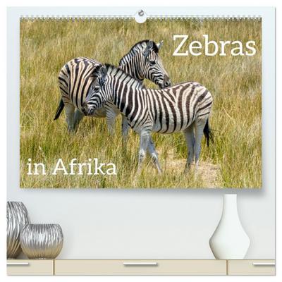 Zebras in Afrika (hochwertiger Premium Wandkalender 2026 DIN A2 quer), Kunstdruck in Hochglanz