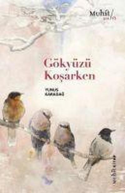 Gökyüzü Kosarken