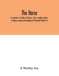 The Horse