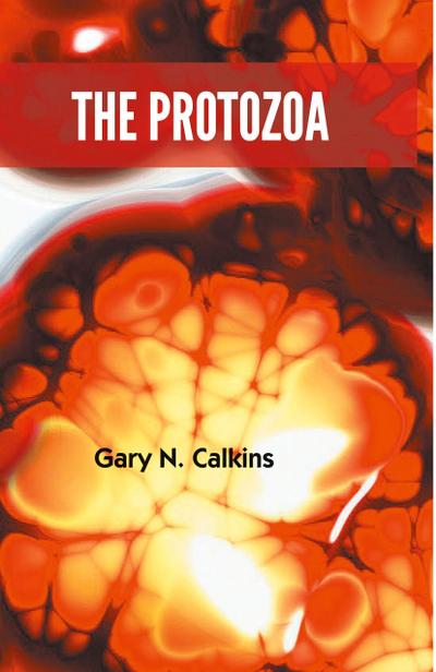 The Protozoa