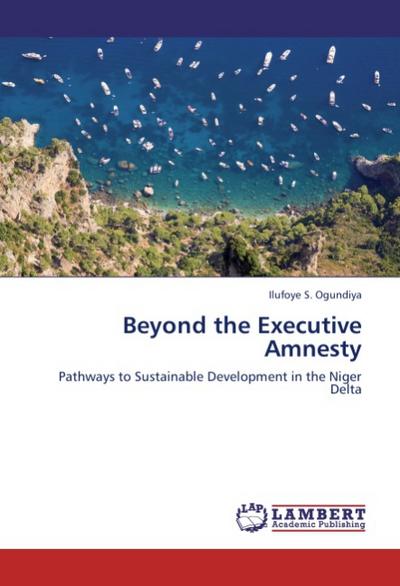 Beyond the Executive Amnesty