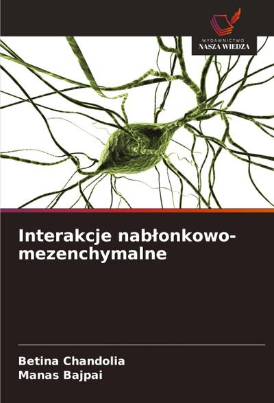 Interakcje nab¿onkowo-mezenchymalne