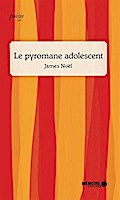 Le pyromane adolescent