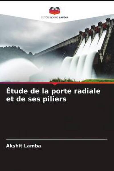Étude de la porte radiale et de ses piliers