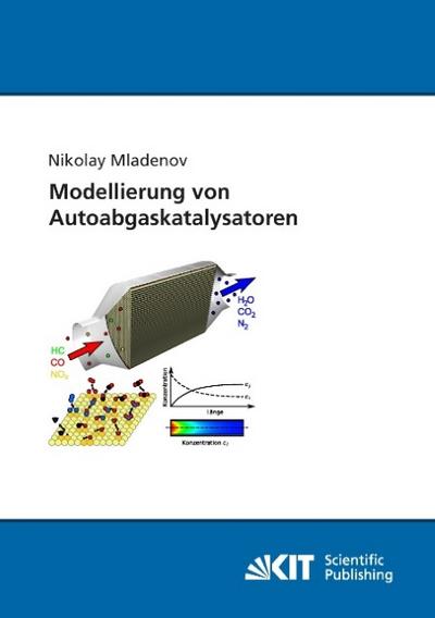 Modellierung von Autoabgaskatalysatoren