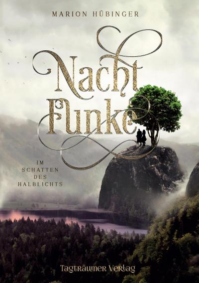 Hübinger, M: Nachtfunke 2