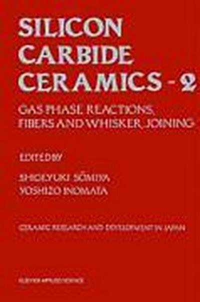 Silicon Carbide Ceramics