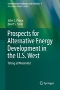 Prospects for Alternative Energy Development in th