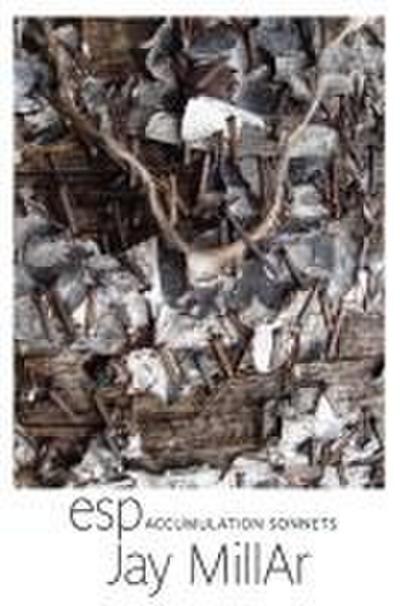 Esp: Accumulation Sonnets