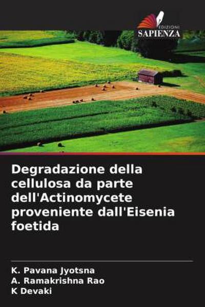 Degradazione della cellulosa da parte dell’Actinomycete proveniente dall’Eisenia foetida