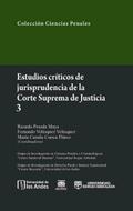 Estudios críticos de jurisprudencia de la Corte Su
