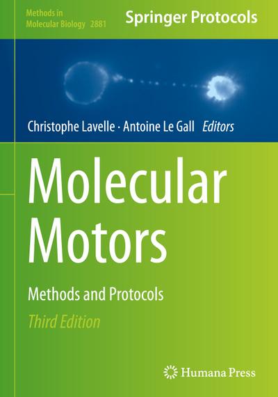 Molecular Motors
