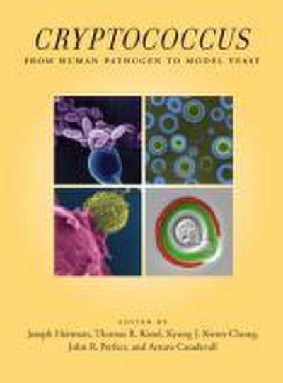Cryptococcus: From Human Pathogen to Model Yeast