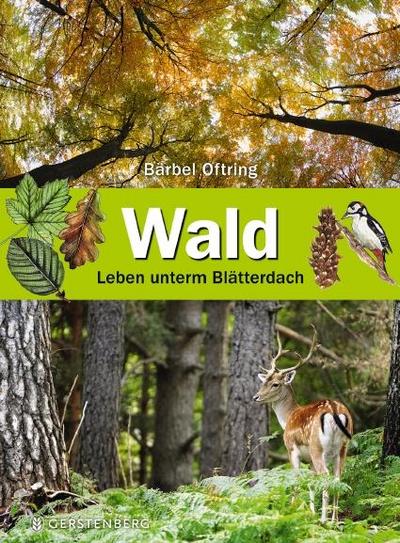 Wald