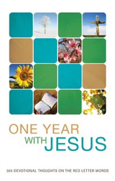 One Year with Jesus